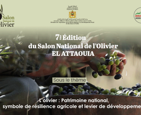 Salon National de l’Olivier 2026 : Un Événement Clé pour la Filière Oléicole Marocaine