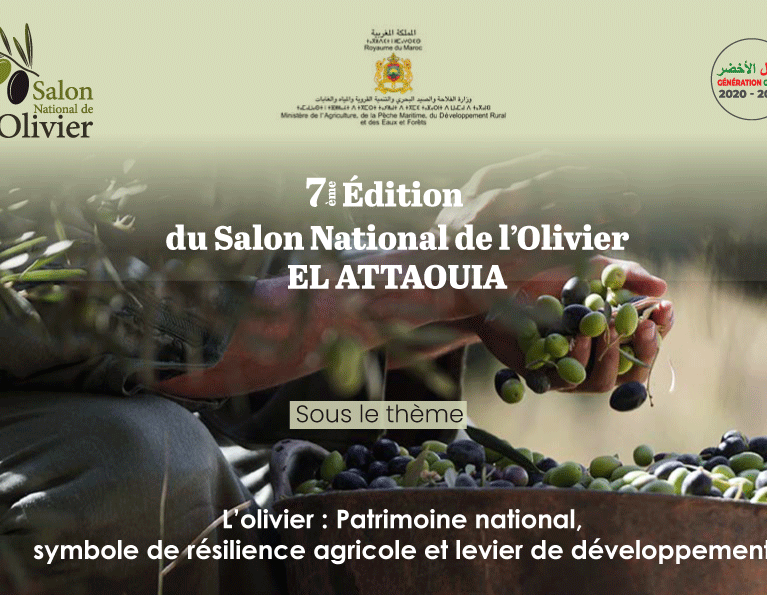 Salon National de l’Olivier 2026 : Un Événement Clé pour la Filière Oléicole Marocaine